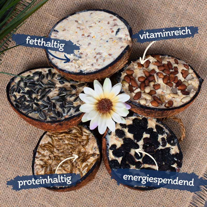 Lyra Pet® Demi-noix de coco fourrée au topping