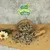 Lyra Pet® Graines de tournesol Mix