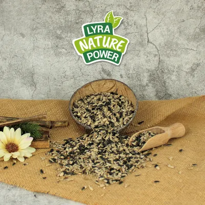 Lyra Pet® Graines de tournesol Mix