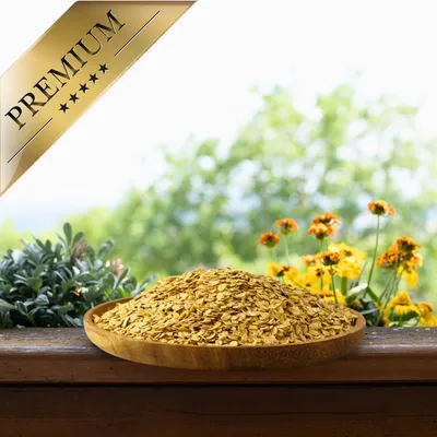 Lyra Pet® Flocons d'avoine