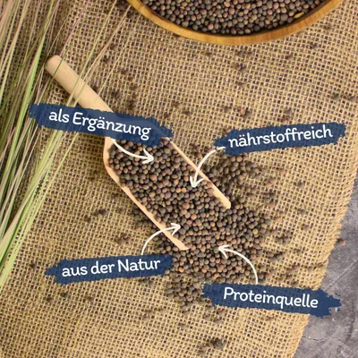 Lyra Pet® Wicken Lyra Pet® Wicken