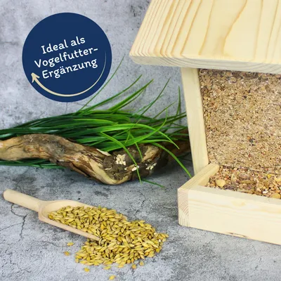 Lyra Pet® orge non décortiquée