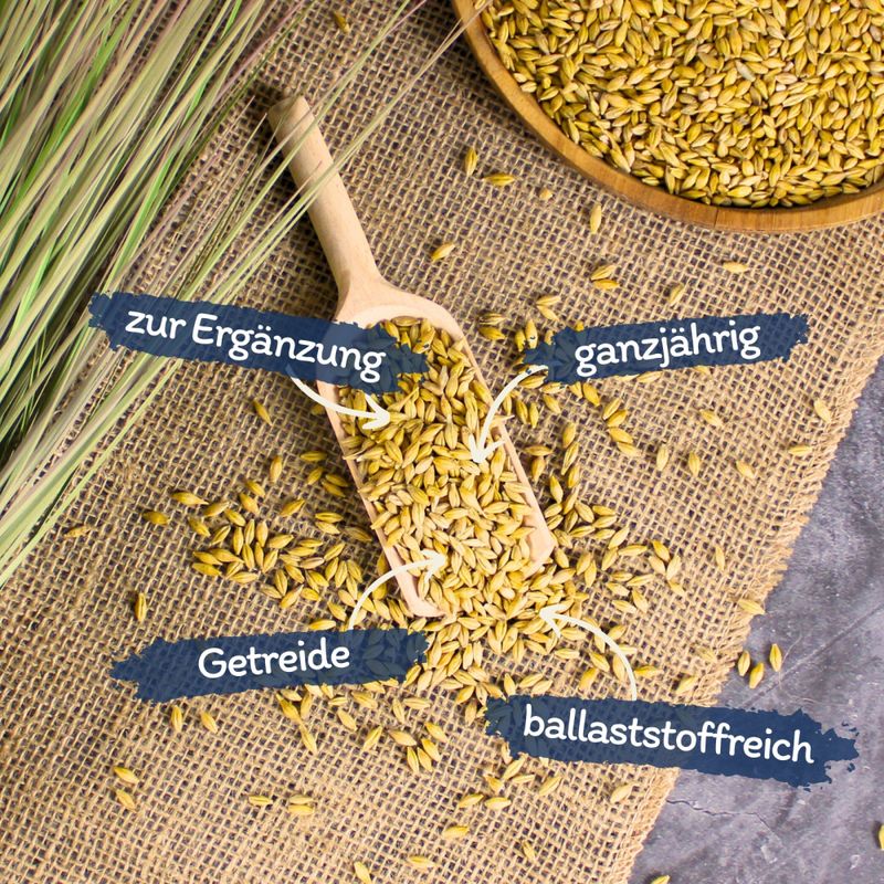 Orge non décortiquée Lyra Pet®