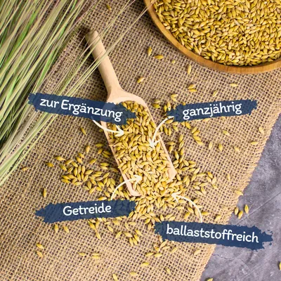 Orge non décortiquée Lyra Pet®