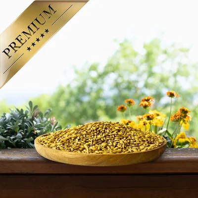 Orge non décortiquée Lyra Pet®