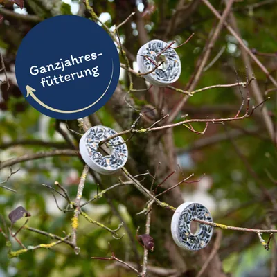 Lyra Pet® Anneaux pour mésanges