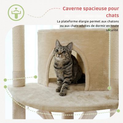 PAWZ Road - Arbre à Chat XXL ajustable avec fixation au plafond