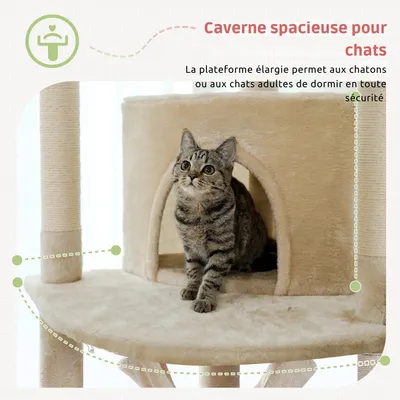 PAWZ Road - Arbre à Chat XXL ajustable avec fixation au plafond