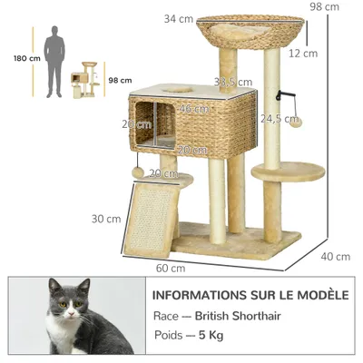 PawHut - Arbre à chat style cosy chic sisal naturel jacinthe d'eau