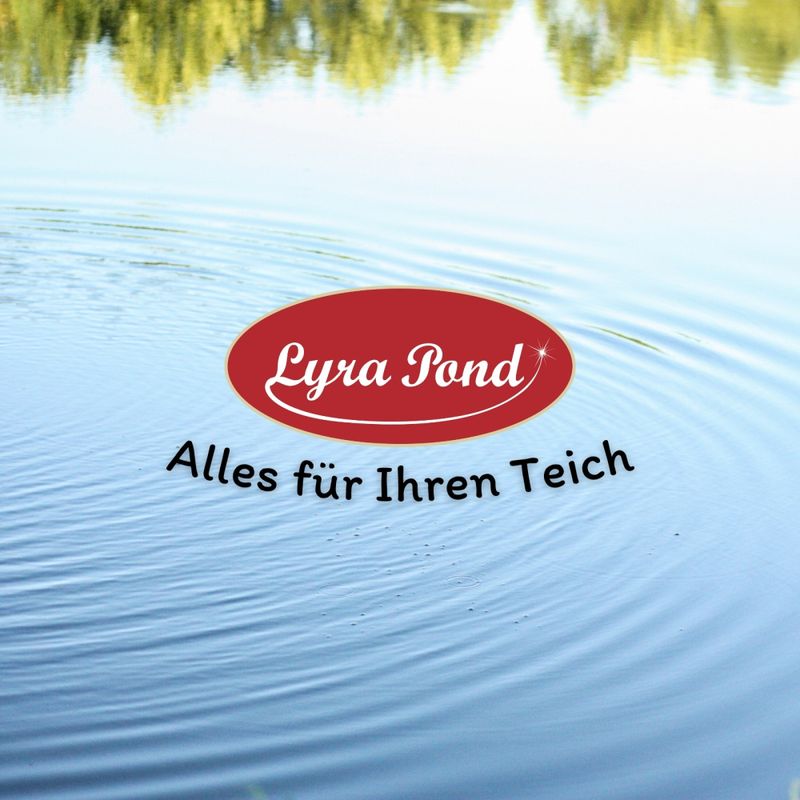 Lyra Pond Stérilisateur de bassin