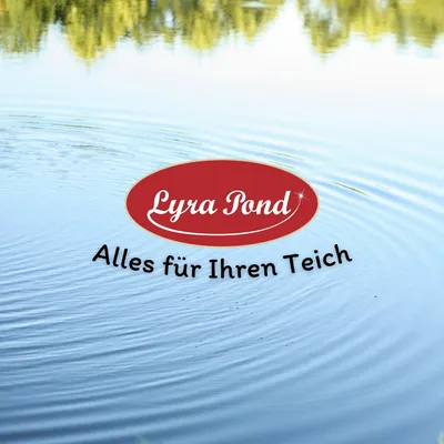 Lyra Pond Stérilisateur de bassin