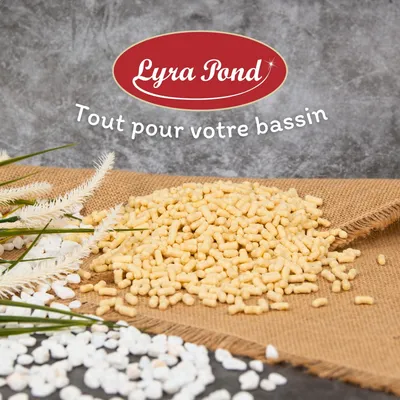Lyra Pond Pond Sticks Fischfutter Teichfutter