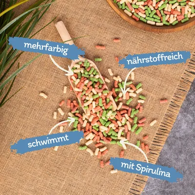 Lyra Pond Pond Colour Sticks Mix en seau