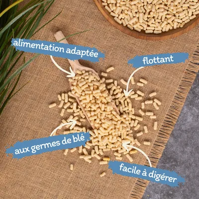 Lyra Pond Pond Sticks Fisch- und Teichfutter