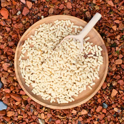 Lyra Pond Pond Sticks en seau