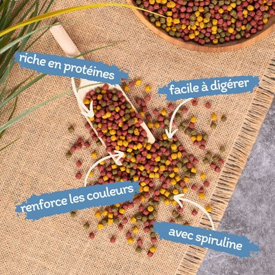 Lyra Pond® Pond Allround Koi Mix Fischfutter Teichfutter