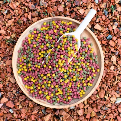 Lyra Pond Pond Allround Mix en seau