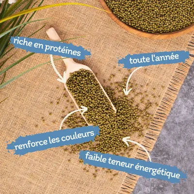 Lyra Pond Pond Koi Beauty Pellets Staple Fischfutter Teichfutter