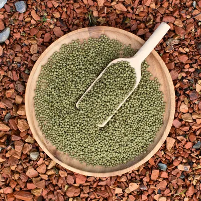 Lyra Pond Pond Koi Beauty Pellets Staple Fischfutter Teichfutter