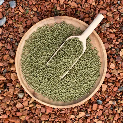 Lyra Pond Pond Koi Beauty Pellets Staple en seau