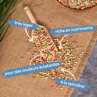 Lyra Pond Pond Colour Mix Light nourriture pour poissons et bassins