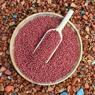 Lyra Pond Pond Colour Astax Koi Pellets Fischfutter Teichfutter