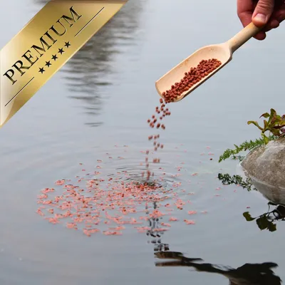 Lyra Pond Pond Colour Astax Koi Pellets Fischfutter Teichfutter