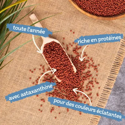 Lyra Pond Pond Colour Astax Koi Pellets Fischfutter Teichfutter