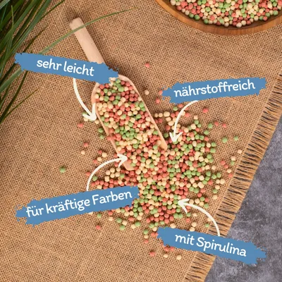 Lyra Pond Pond Colour Mix Light en seau