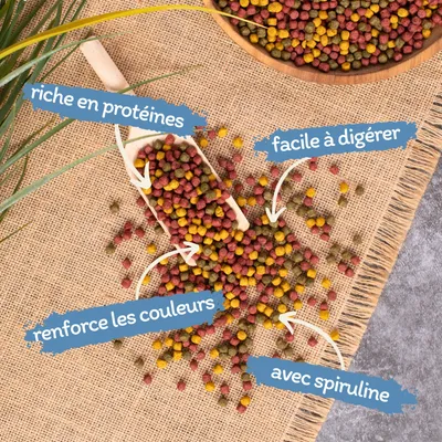 Lyra Pond® Pond Allround Koi Mix Fischfutter Teichfutter