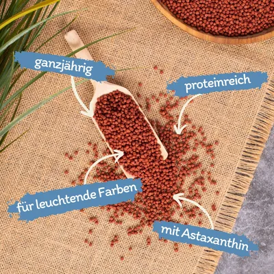 Lyra Pond Pond Colour Astax granulés en seau