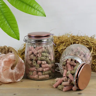 Lyra Horse® friandise carotte-framboise-herbes Lyra Horse® friandise carotte-framboise-herbes