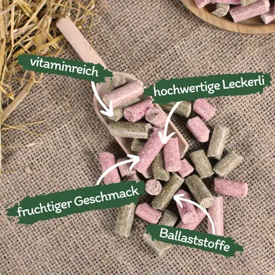 Lyra Horse® : friandise aux carottes, framboises et herbes aromatiques