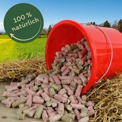 Lyra Horse® friandise carotte-framboise-herbes Lyra Horse® friandise carotte-framboise-herbes