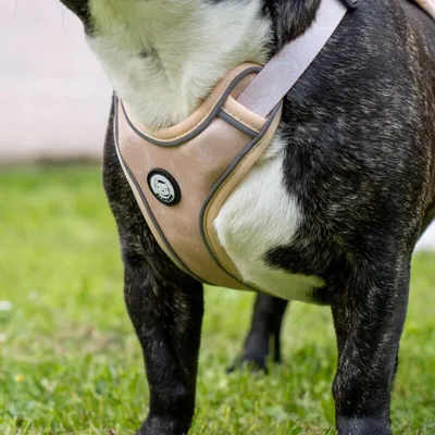 On se la Pet - Harnais pour chien confortable et résistant - Beige Tropical