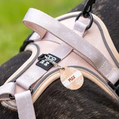 On se la Pet - Harnais pour chien confortable et résistant - Beige Tropical