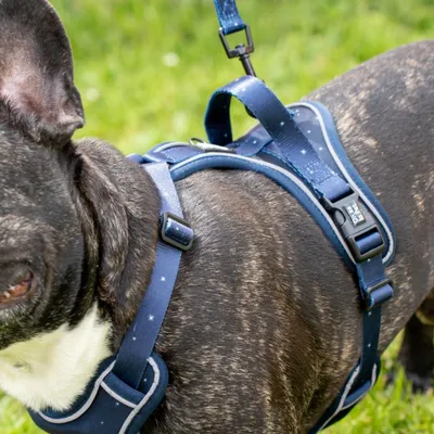 On se la Pet - Harnais pour chien confortable et résistant - Bleu Nuit