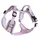 Taille M (tour de poitrail : 50 - 61 cm)