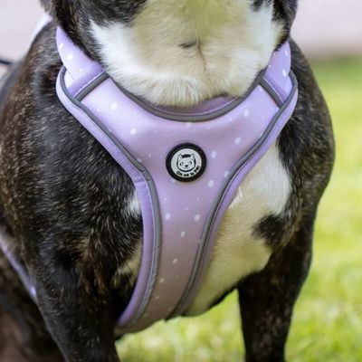 On se la Pet - Harnais Premium pour chien confortable et résistant - Lilas