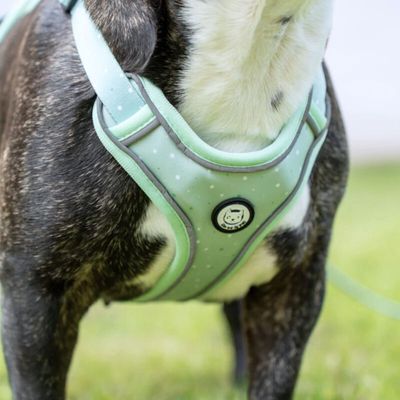 On se la Pet - Harnais Premium pour chien confortable - Vert Pastel