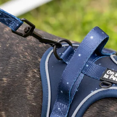 On se la Pet - Harnais pour chien confortable et résistant - Bleu Nuit