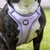 On se la Pet - Harnais pour chien confortable et résistant - Lilas