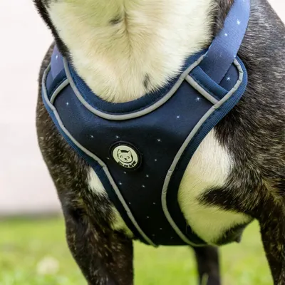 On se la Pet - Harnais pour chien confortable et résistant - Bleu Nuit