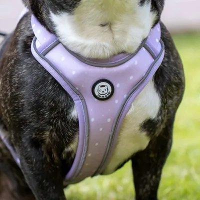 On se la Pet - Harnais Premium pour chien confortable et résistant - Lilas