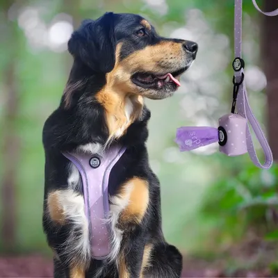 On se la Pet - Harnais pour chien confortable et résistant - Lilas