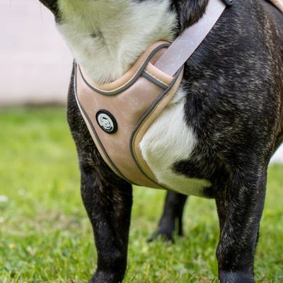 On se la Pet - Harnais Premium pour chien confortable - Beige Tropical