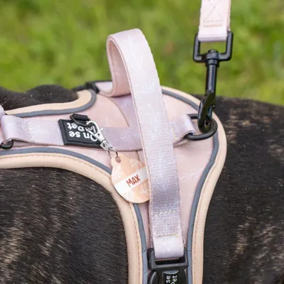 On se la Pet - Harnais pour chien confortable et résistant - Beige Tropical