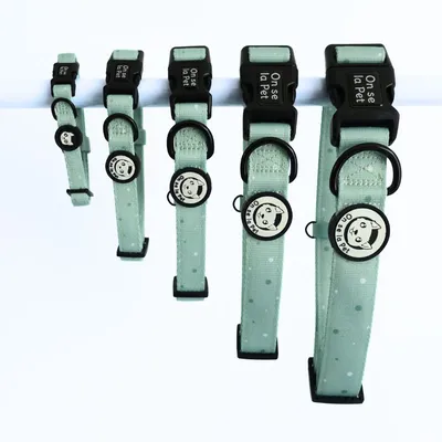 On se la Pet - Collier pour chien rembourré et résistant - Vert Pastel