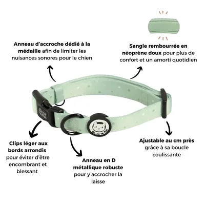 On se la Pet - Collier pour chien rembourré et résistant - Vert Pastel