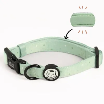 On se la Pet - Collier pour chien rembourré et résistant - Vert Pastel